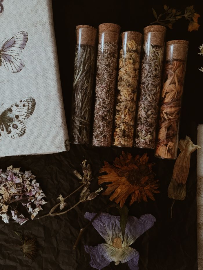 A collection of dried flowers in glass tubes with artistic botanical decor, perfect for nature-inspired projects.